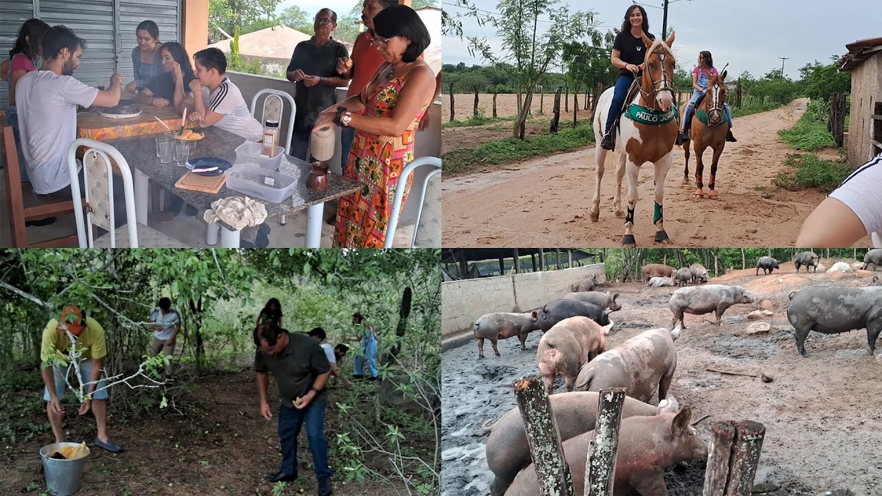 CATANDO IMBU NO SERTÃO + LETÍCIA CORRENDO NA PISTA DE VAQUEJADA (VIAGEM PARA MAJOR ISIDORO PARTE 2)