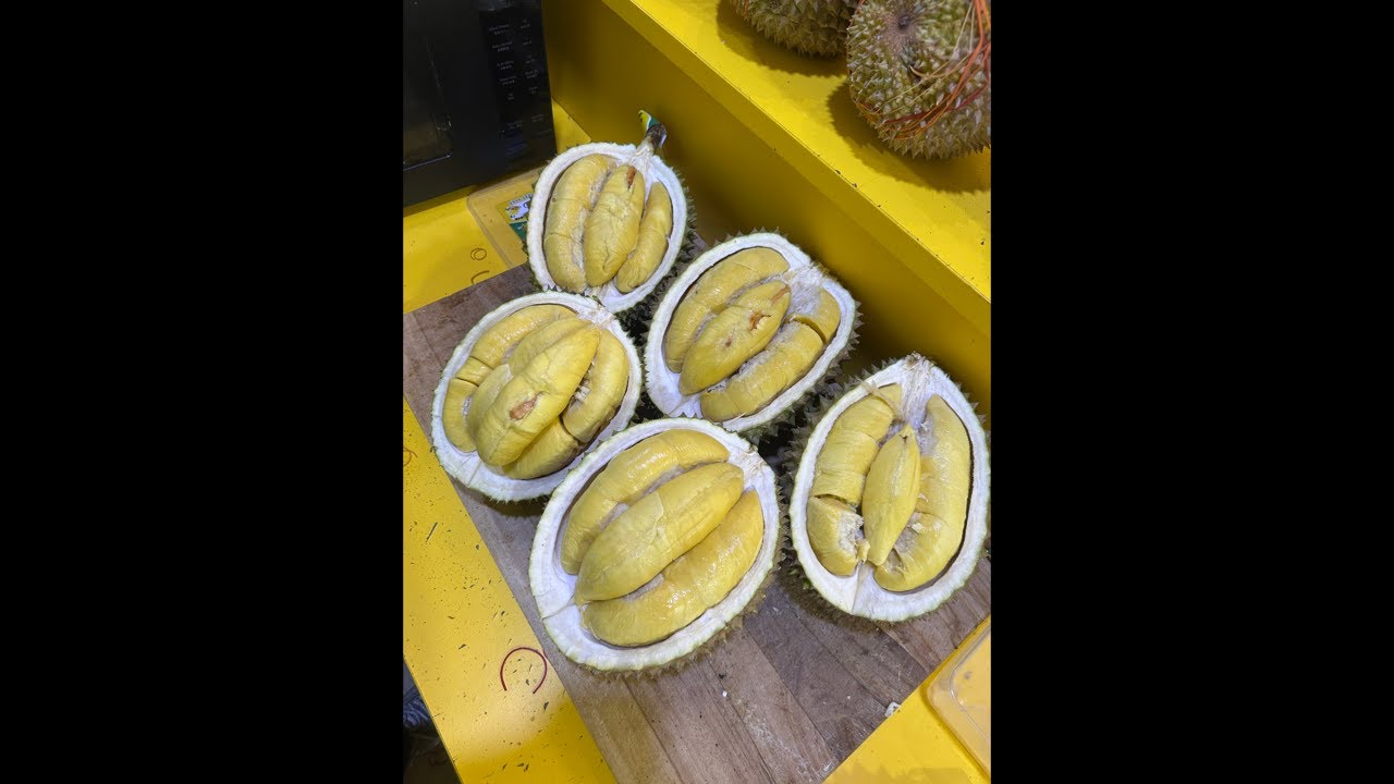 THR UDA CAIR KITA NGEDUREN🥳