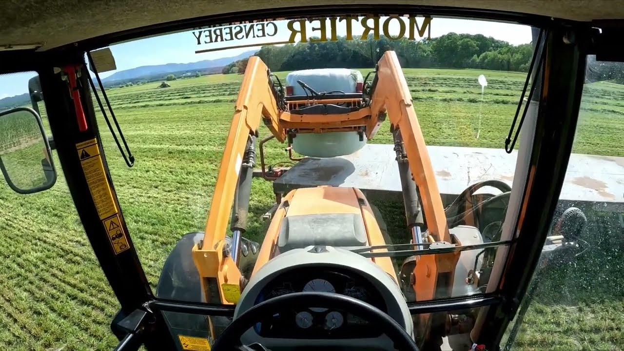 POV | Massey Ferguson | Loading grass bales