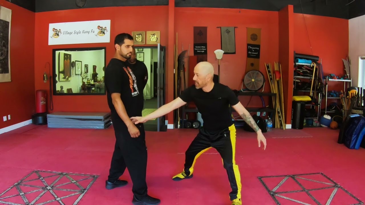 Kung Fu Combat: Dragon Style