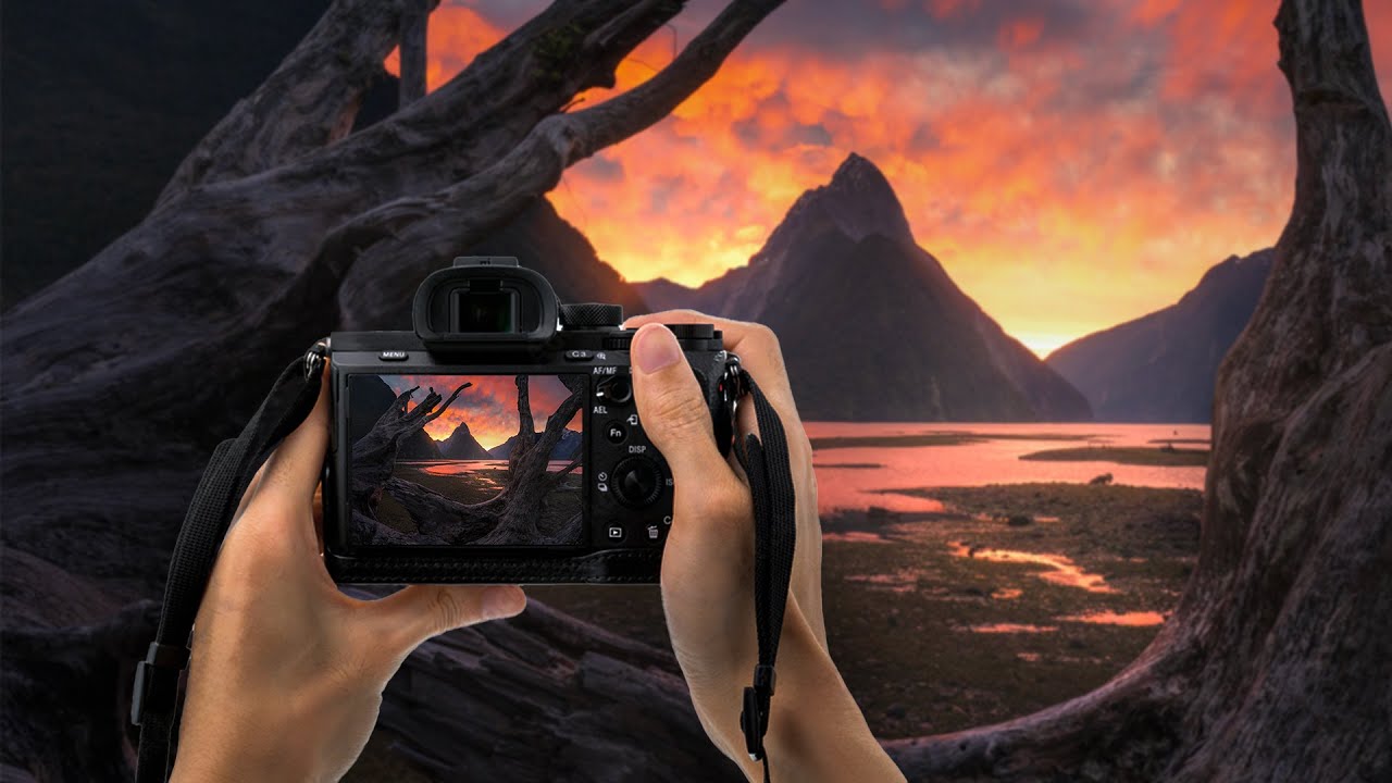 New Zealand Landscape Photography Workshop With William Patino | Fiordland By BOAT