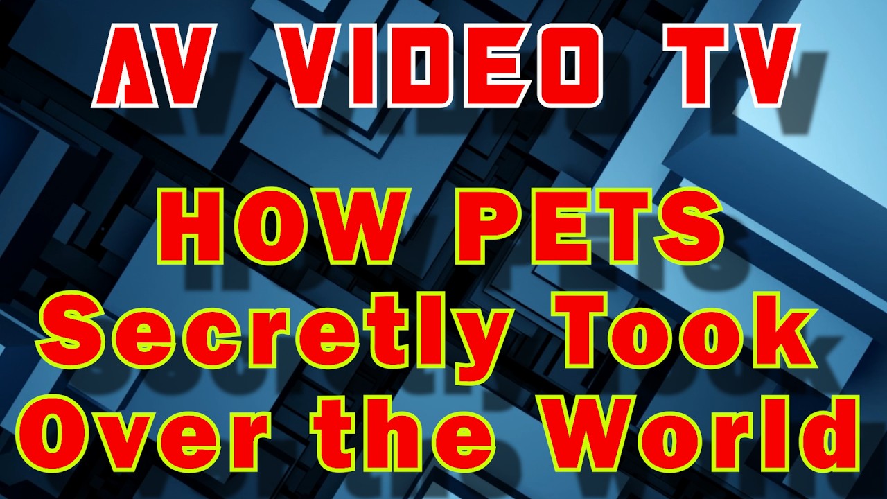 How PETS Secretly Took Over the World - AV VIDEO TV