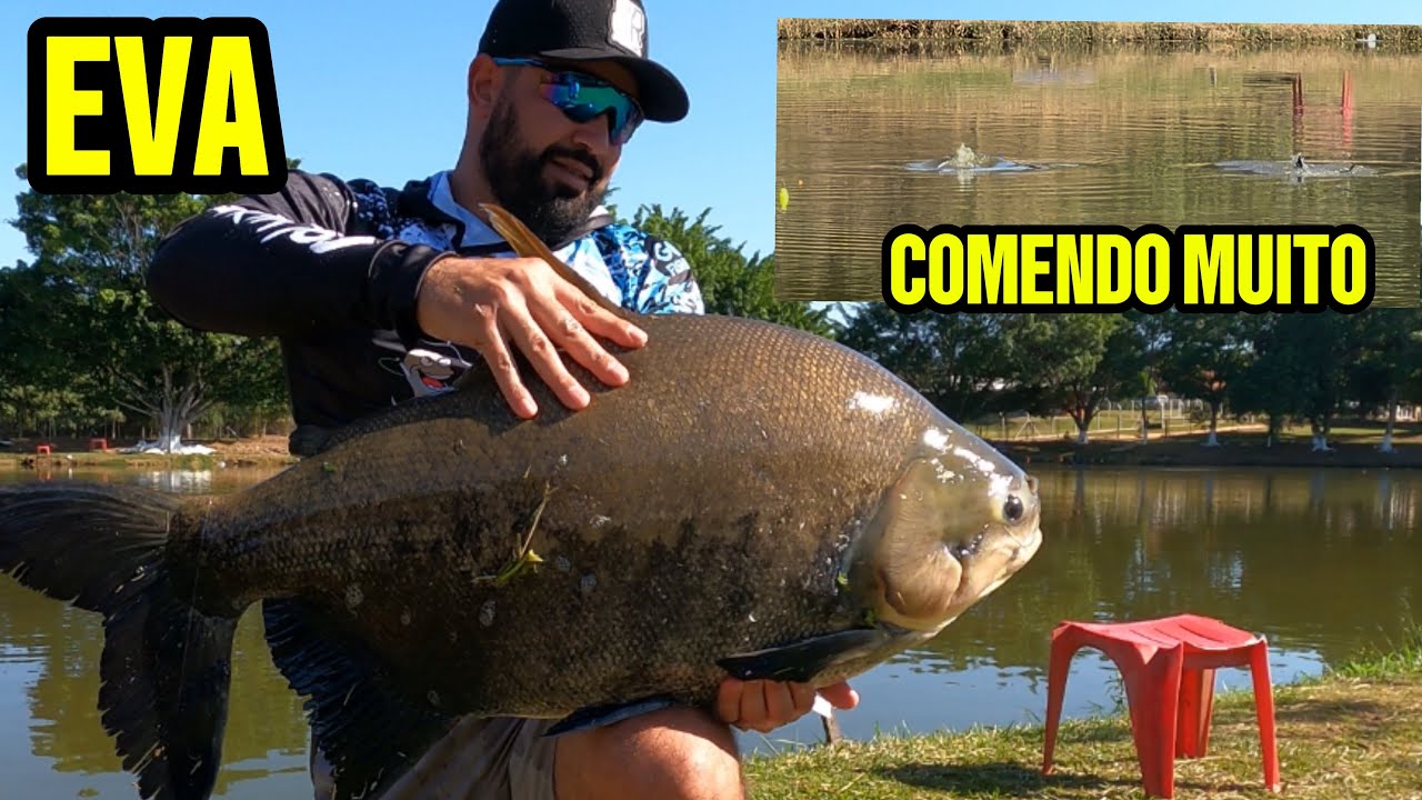 MUITO PEIXE NA CEVA E N&Atilde;O RESISTI / PESCANDO NO INVERNO #5