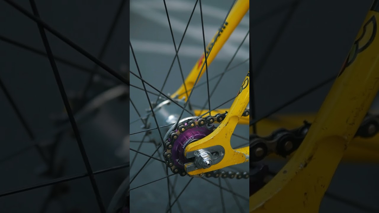 Cinelli vigoreli fixie girl