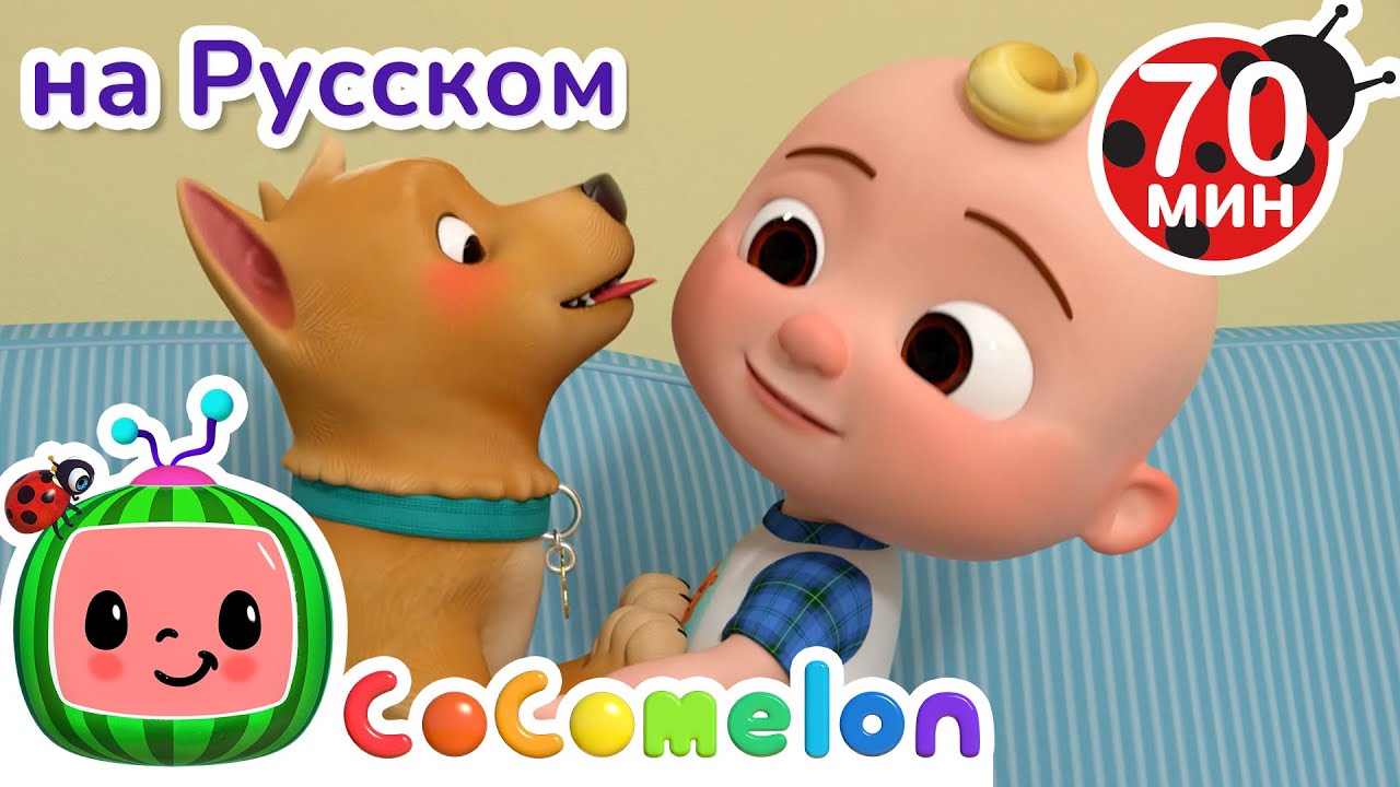 Собачья охота | Детские Песенки CoComelon