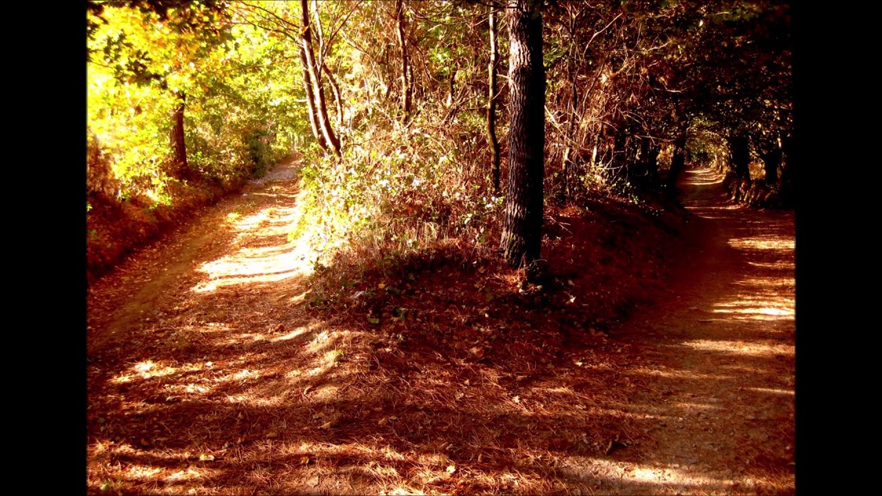 Két út van előttem, Söprik a pápai utcát - Yamaha PSR 3000 (mulatós, csárdás, lakodalmas)