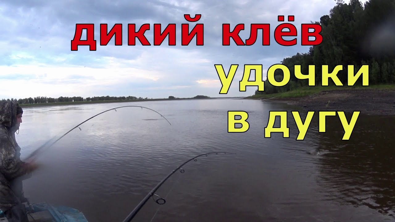 Дикий клёв. Попали на раздачу окуня.