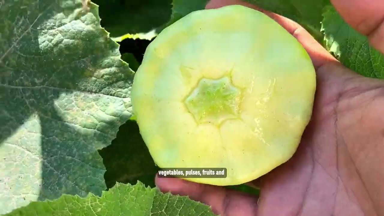 Varinder Singh: Sarbat da Bhalla (Wellbeing for all)