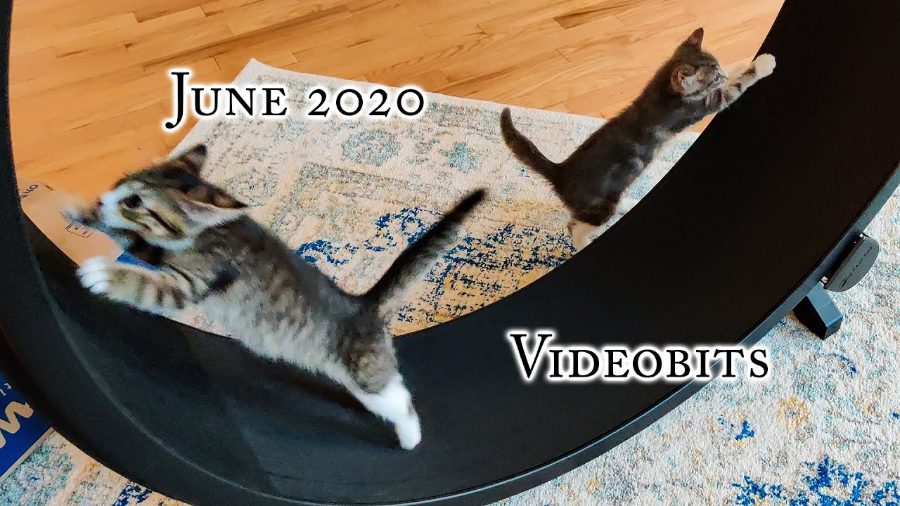 June 2020 Videobits!