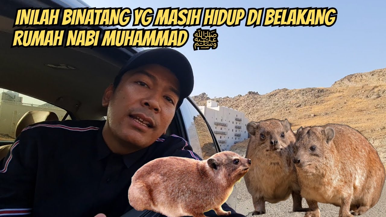 INILAH BINATANG YG MASIH HIDUP DI BELAKANG RUMAH NABI MUHAMMAD ﷺ