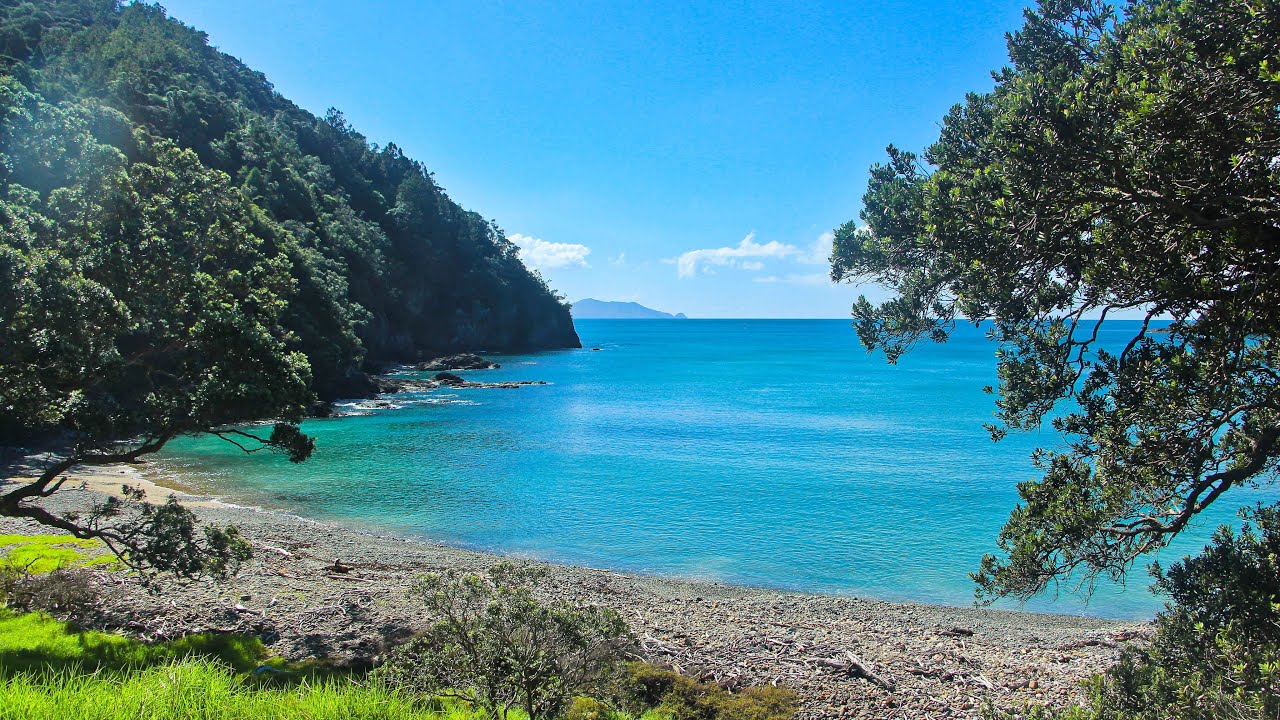 SOLO MISSION! Camping and Diving in the Coromandel: TUATEAWA, STONY BAY & TAIRUA Spearfishing