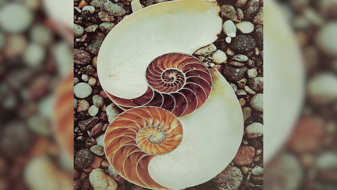 Joseph Goldstein – Insight Hour – Ep. 23 – Liberation Through Non-Clinging