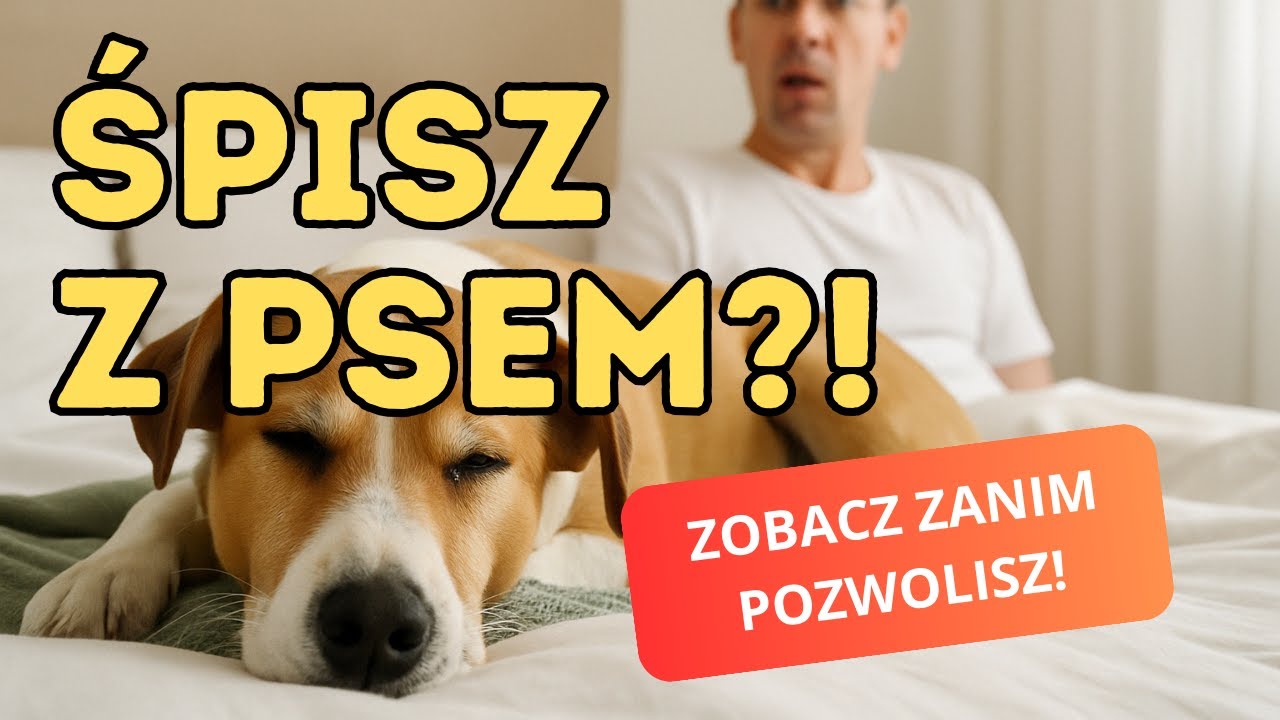 Czy spanie z psem w łóżku jest dobrym pomysłem? | Psia Akademia