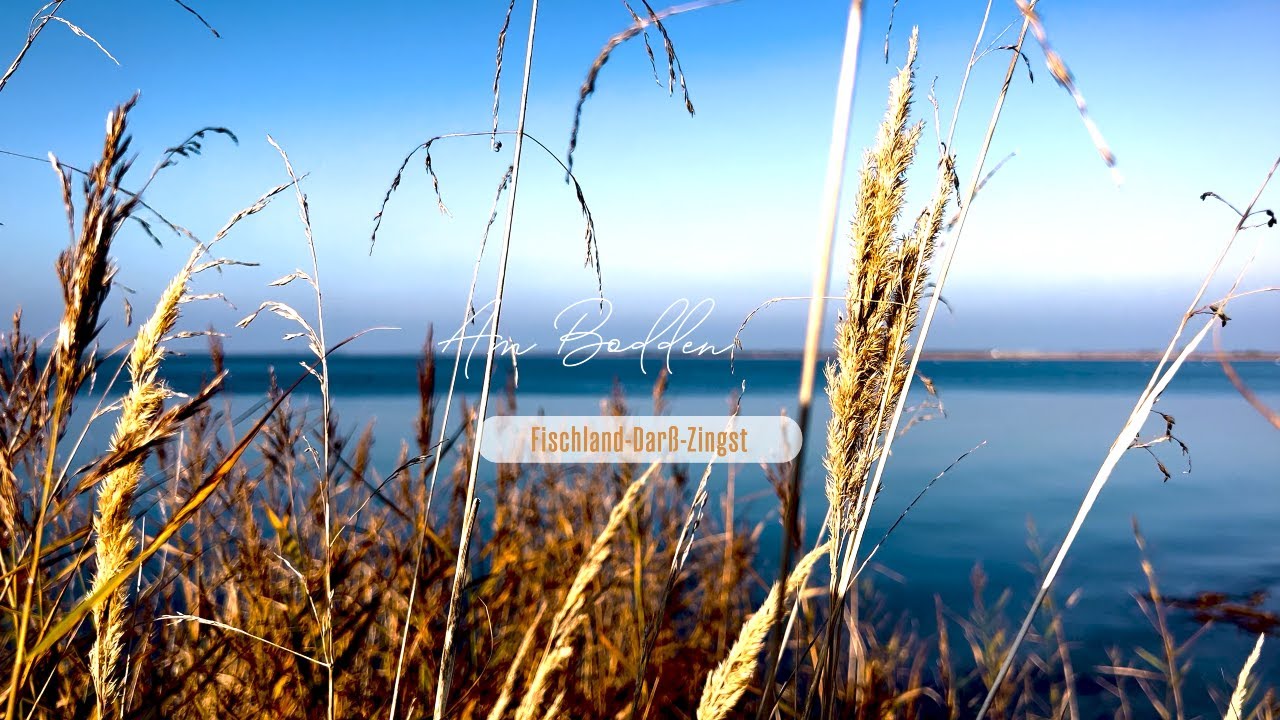 Am Bodden | 4K