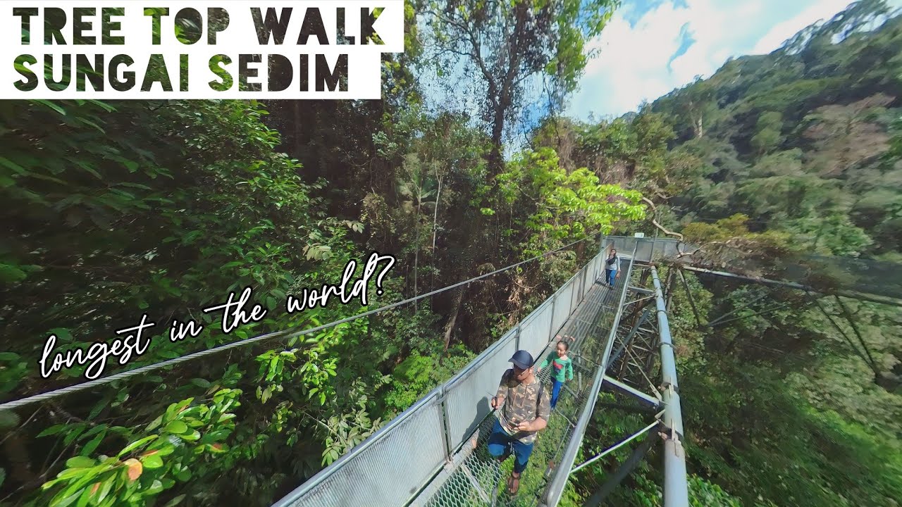 Tree Top Walk Sungai Sedim - world’s longest rainforest canopy walk | jalan makan 360