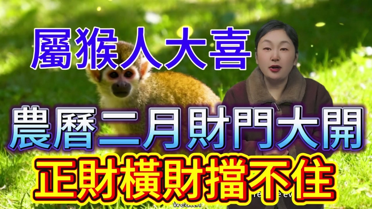 屬猴人大喜！農曆二月（3 月 19-4 月 16），橫財自動找上門，擋都擋不住！#運勢 #補財庫旺財氣 #財富 #財運 #風水 #命理 #錢子