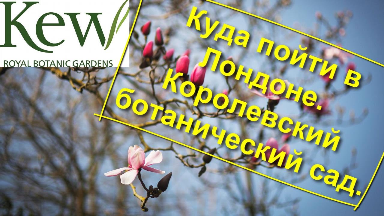 18. Куда пойти в Лондоне. Королевский ботанический сад Kew Gardens.