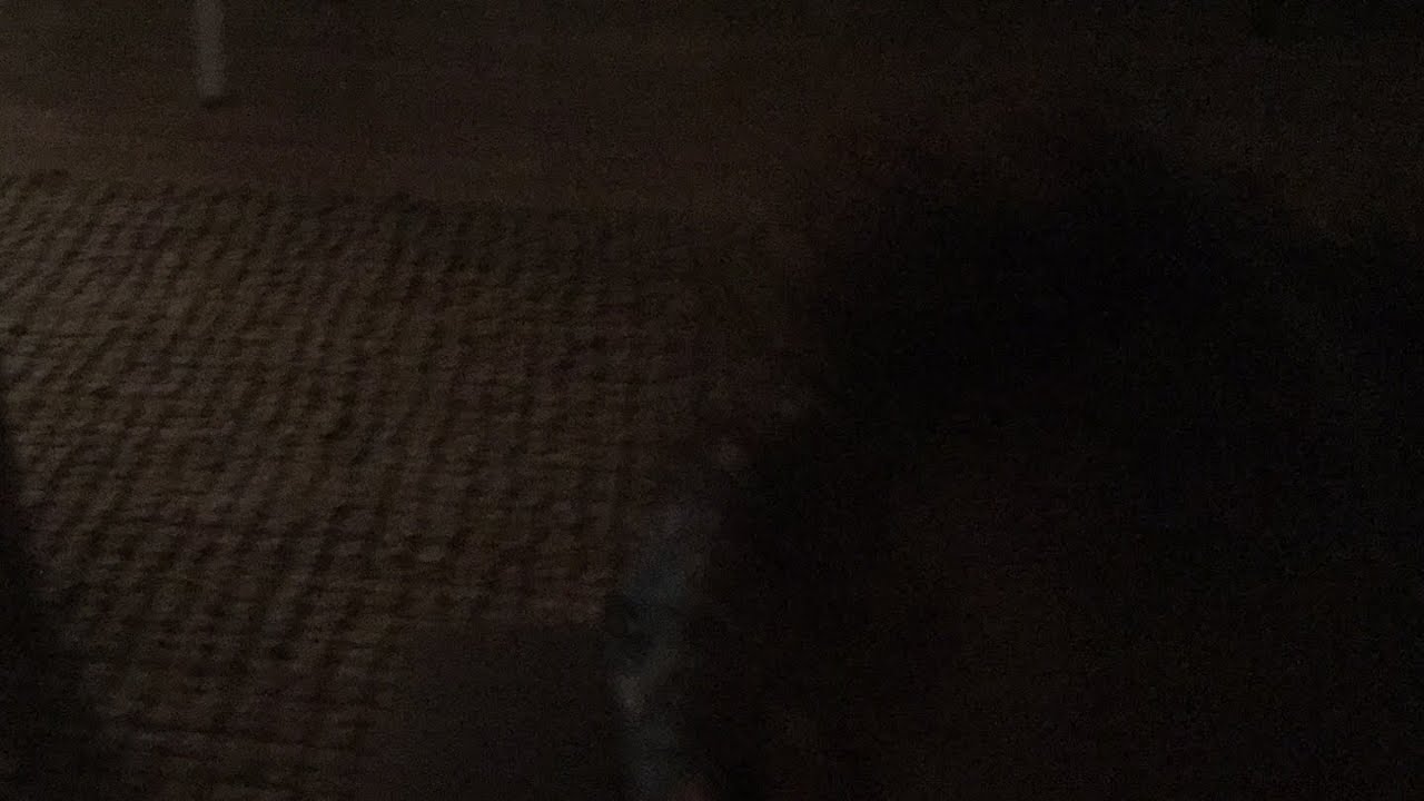 Zoom challenge with younger kids