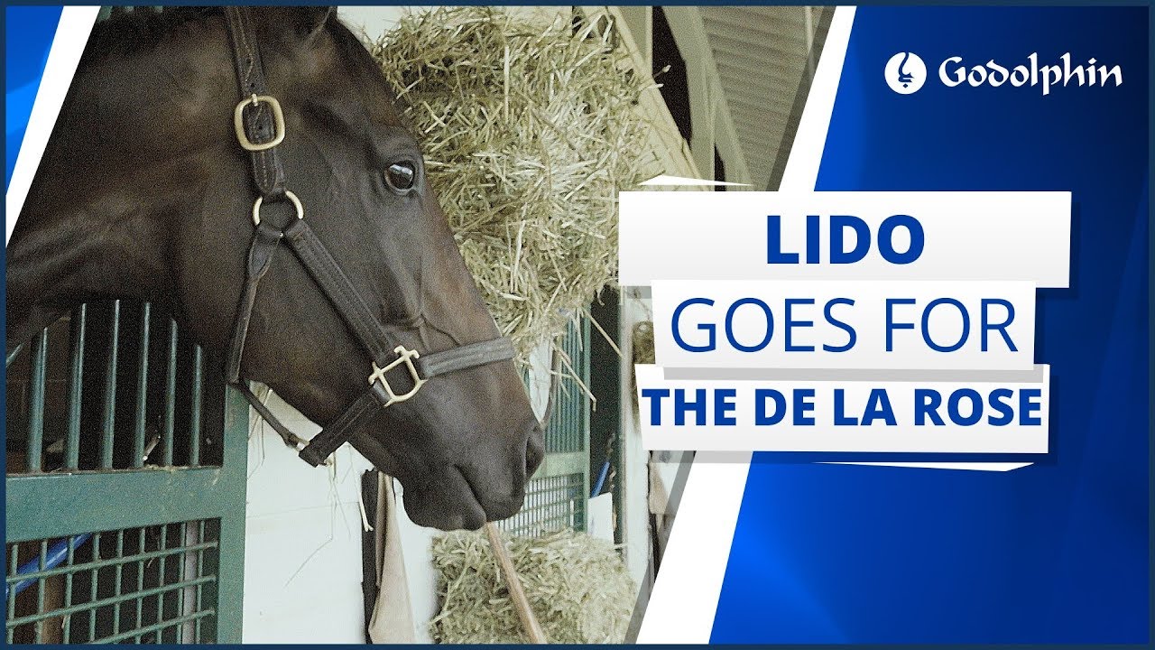Lido goes for the De La Rose