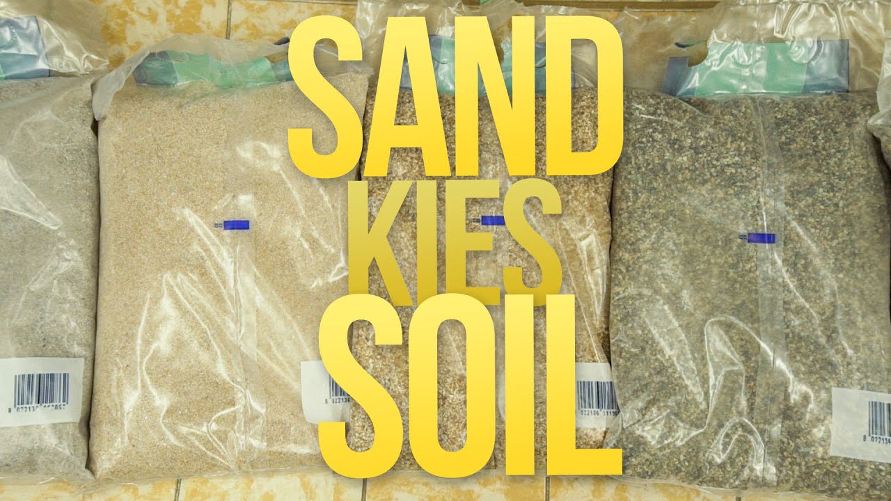 SAND, KIES oder SOIL - UNTERSCHIED & BESTE WAHL? | GarnelenTv