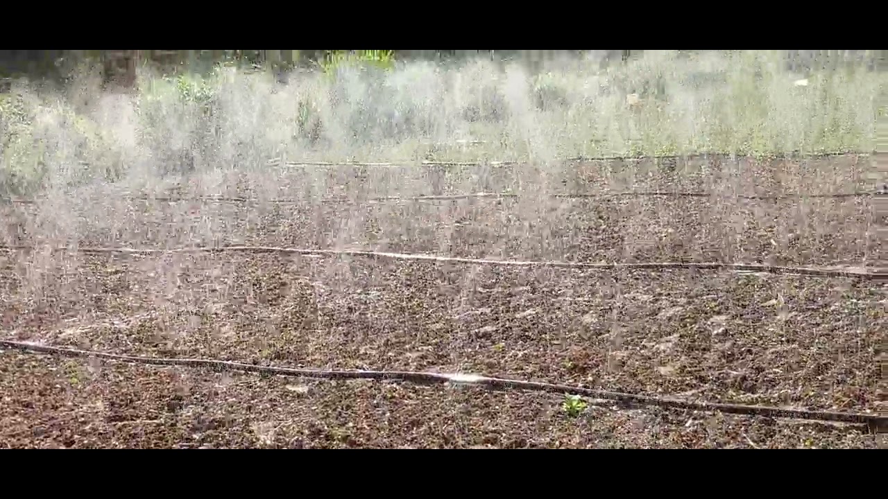 système d'irrigation par micro-aspersion au Laser Spray 00226 76 00 97 06