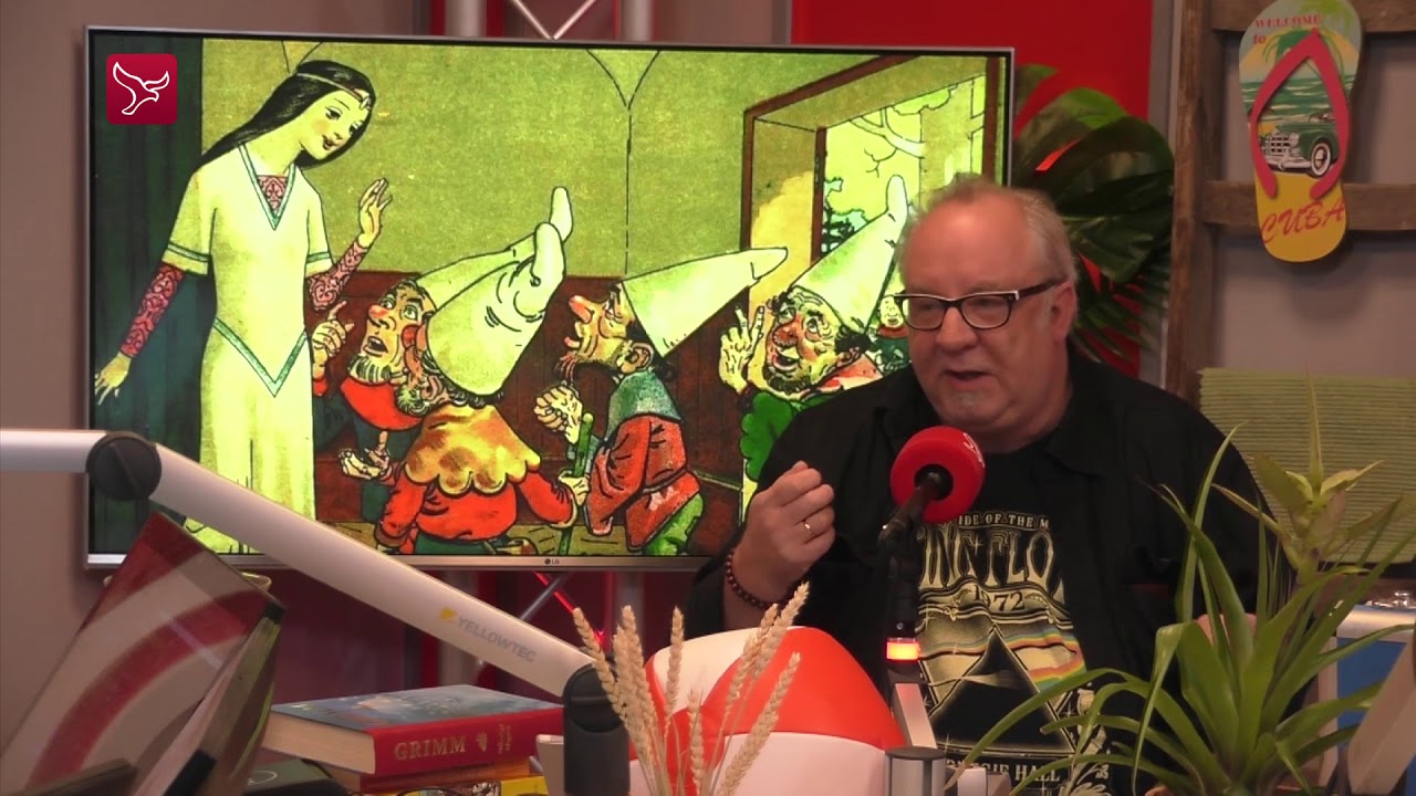 Wie waren de gebroeders Grimm?