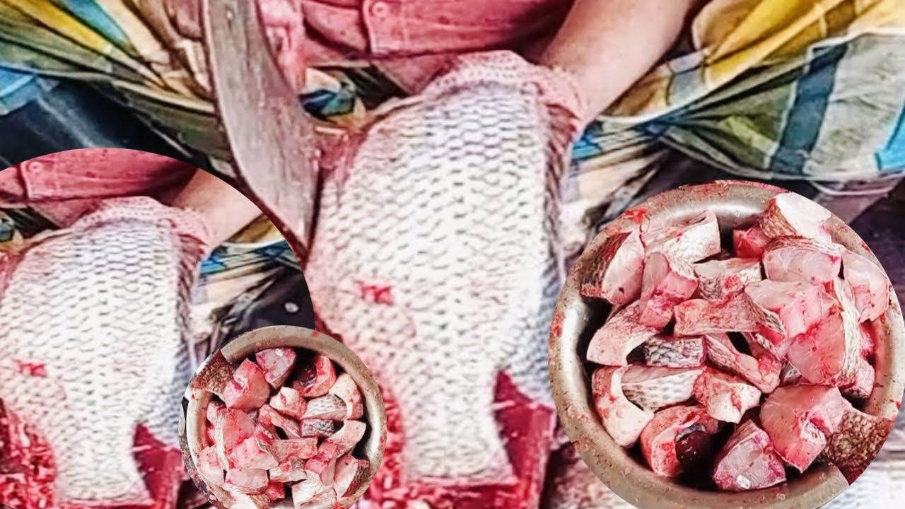 Professinal Tilapia Fish Cutting 🐠🔪| Satisfying Fish Processing video