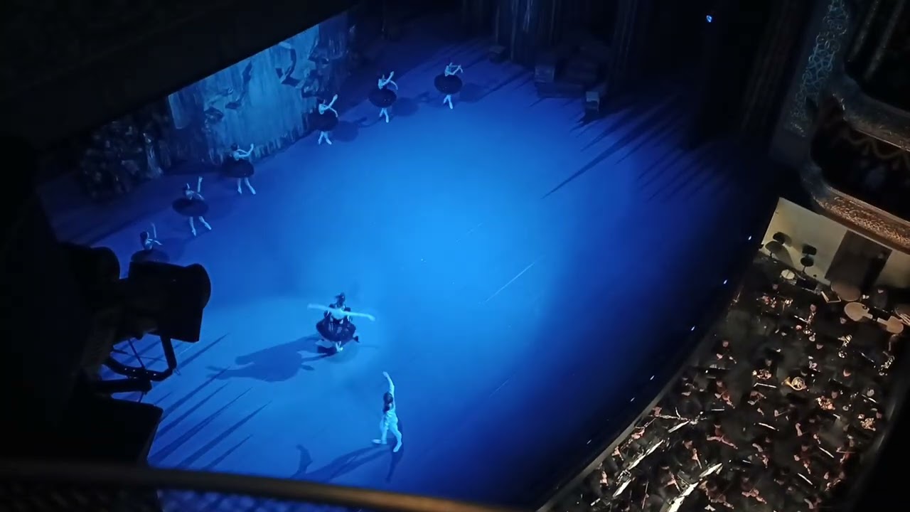 Лебединое озеро 6 февраля 2026 в