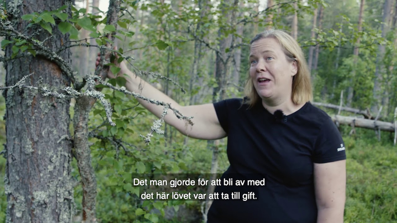 Skogsskolan om Lövträdens återkomst (textad)