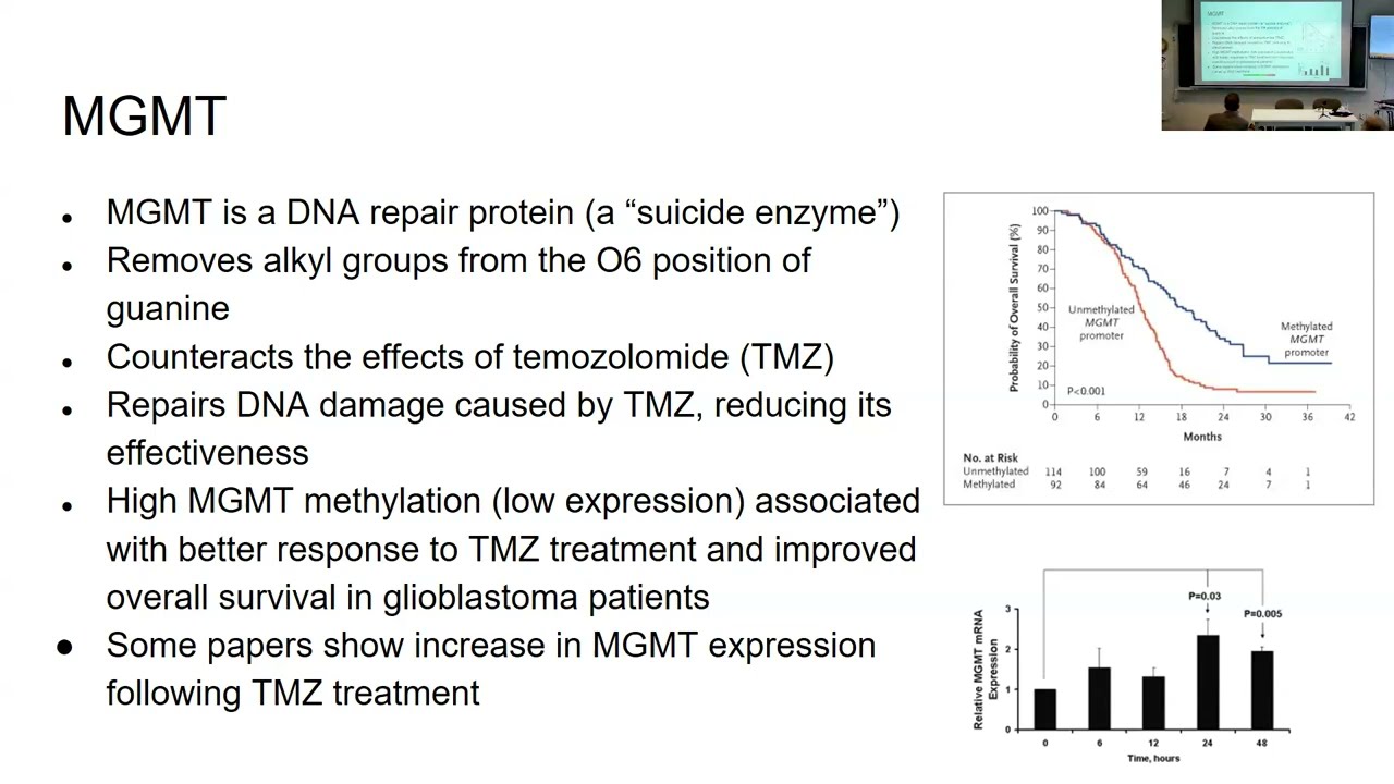 Mathematical Modelling of MGMT Dynamics in Glioblastoma: The Influence of Methylation Status...