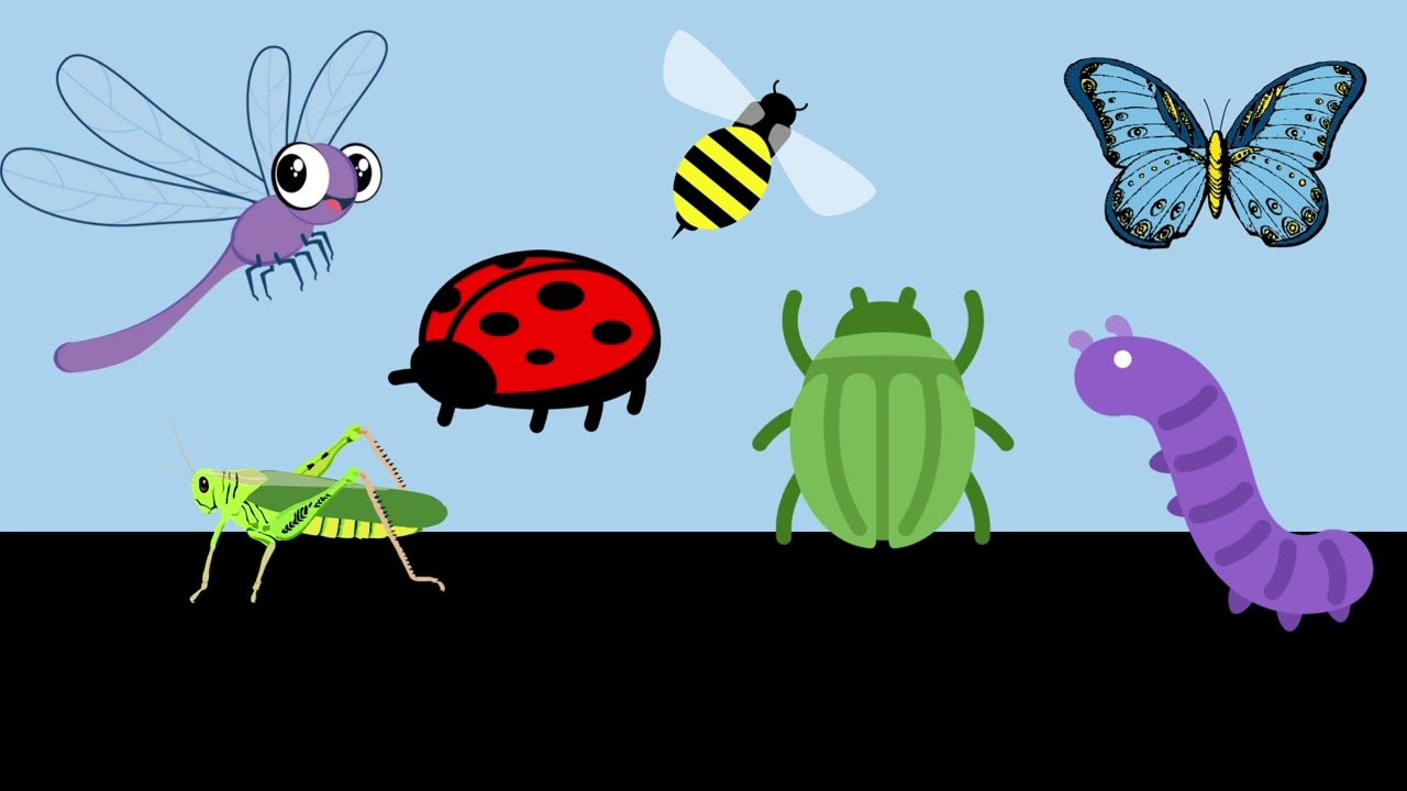 10 minute timer ⏲️ Bugs