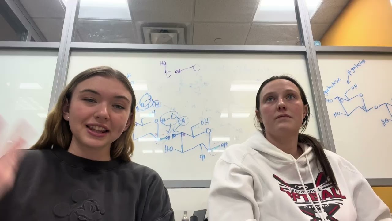 Week 7: Part Three of the School Book 