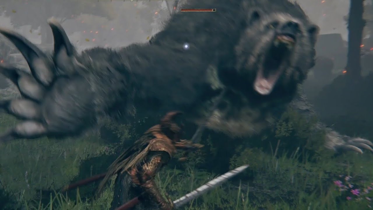 Fight Runebear in Limgrave Mistwood. 