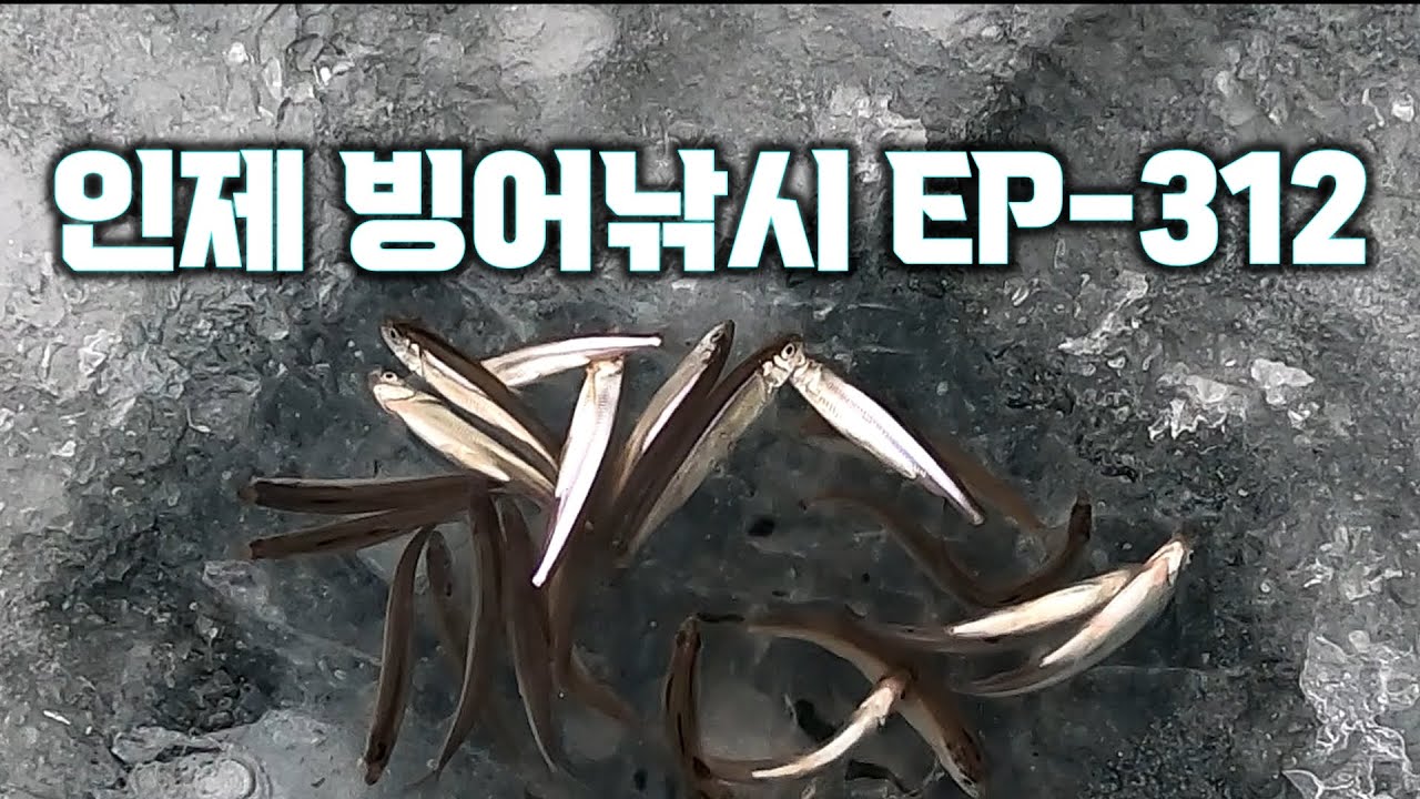 인제대교 빙어낚시 포인트 설명 EP-312