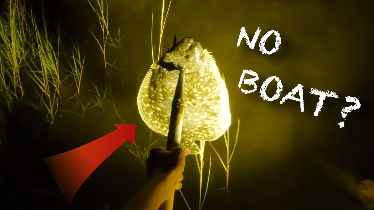 Flounder gigging without a boat? (INCREDIBLE RESULTS) - part one