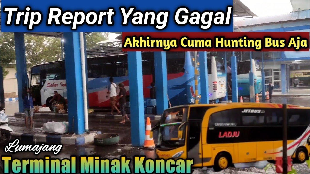 Hunting Bus Di Terminal Lumajang ll Trip Gagal Pasca Kenaikan Harga BBM