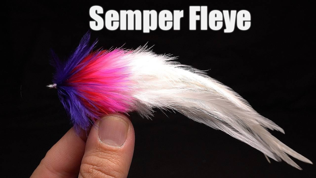 Tying The Semper Fleye By Bob Popovics. A Feather Striped Bass Streamer For The Surf And More.