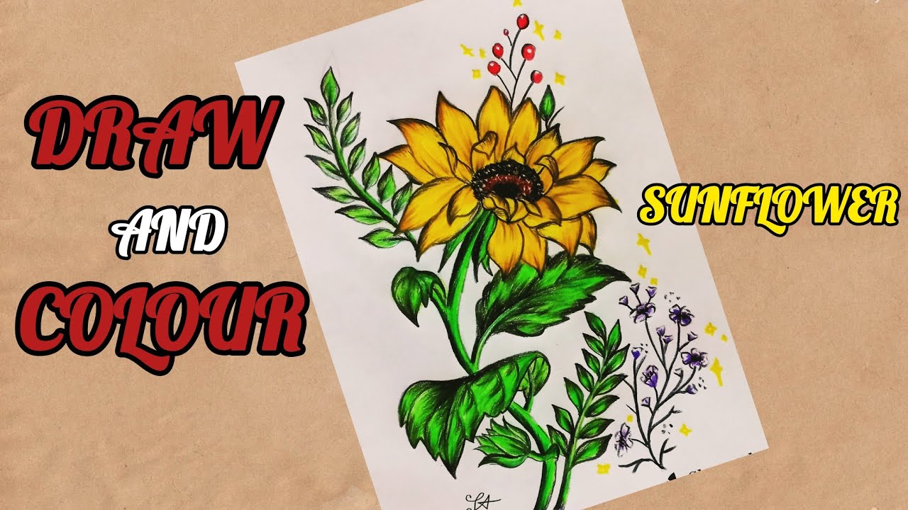 How to draw Asthetic Sunflower 🌻Step by step✨#colordrawing #sunflower#asthetic 