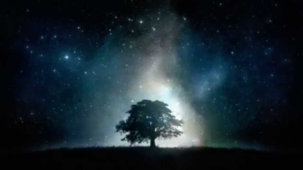 Desiderata (Version Originale)