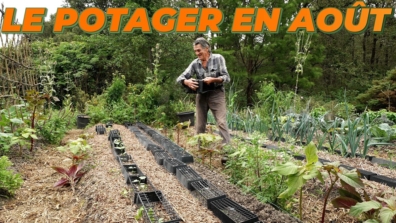 Le potager de Yves Gillen au mois d'Août - Au fil des Saisons avec Yves Gillen 🧑‍🌾