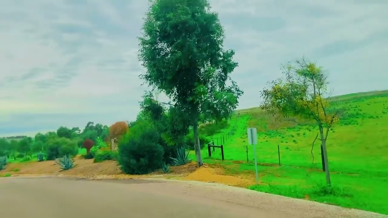 Drovers Run entry