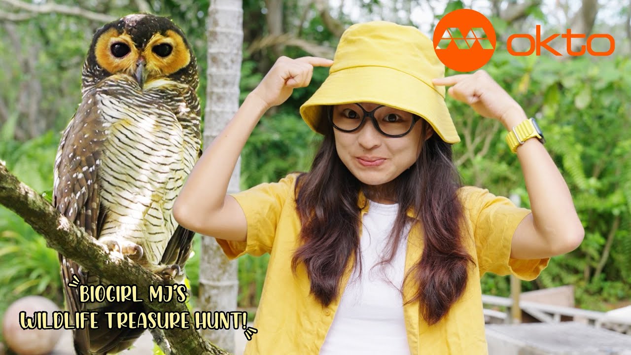WHAT RARE ANIMALS can you find with MJ BioGirl in Singapore? | Biogirl MJ S1E02 @mediacorpokto