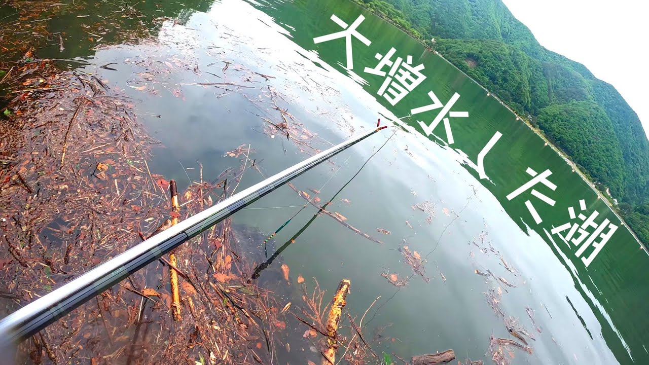 大雨で大増水の精進湖は大ハタキ！ヘラブナ釣りを楽しむ