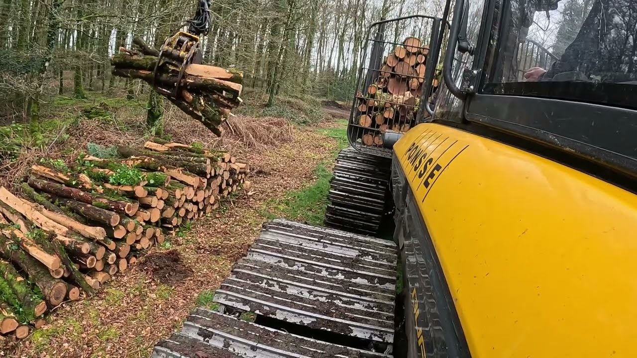 Buffalo Engine & Turbo Sound in the Forest🦬