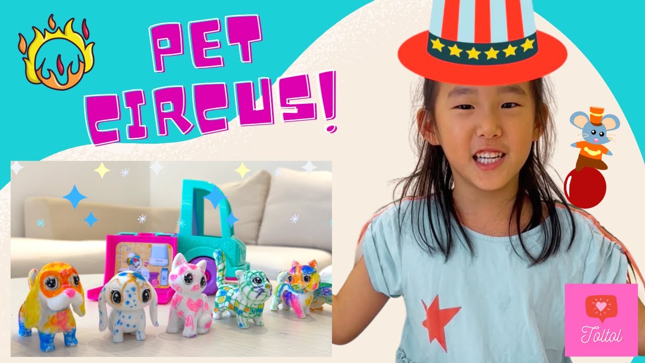 SCRIBBLE SCRUBBIE Pets Circus Pretend Play - Learn Colors, Shapes! | Creative learn and play