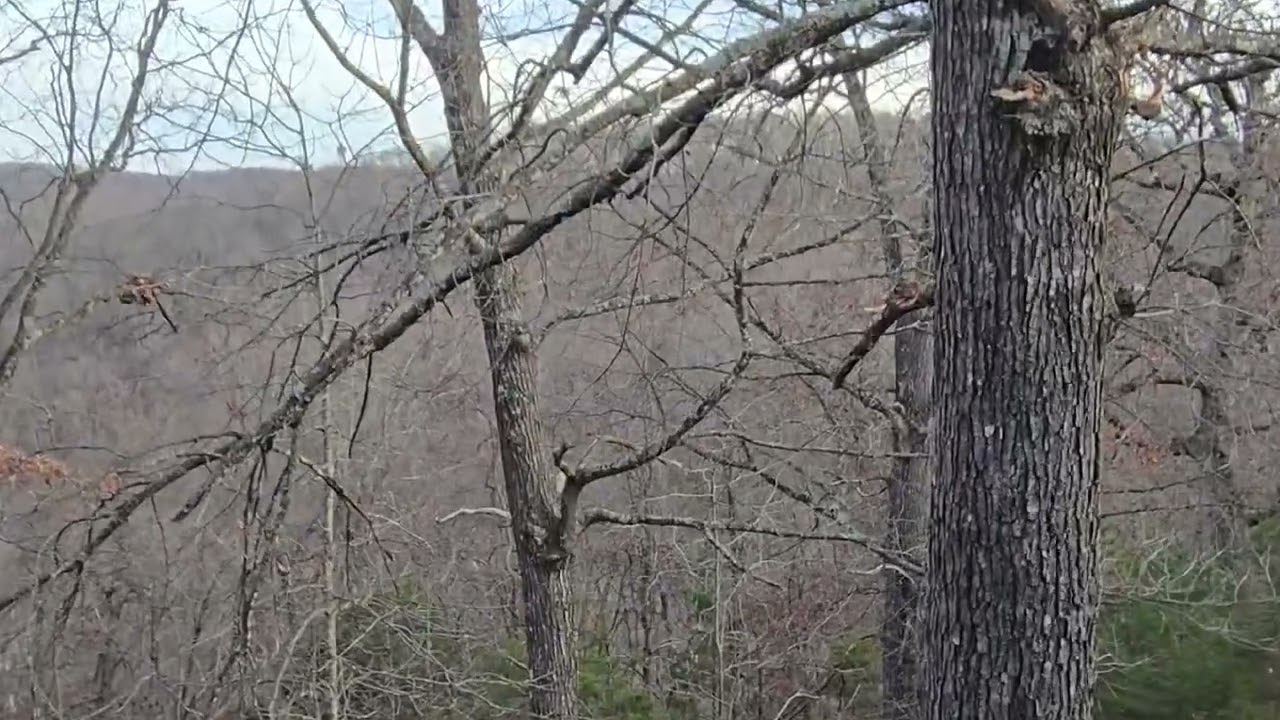Silver Dollar City Whistle and Inspiration Tower