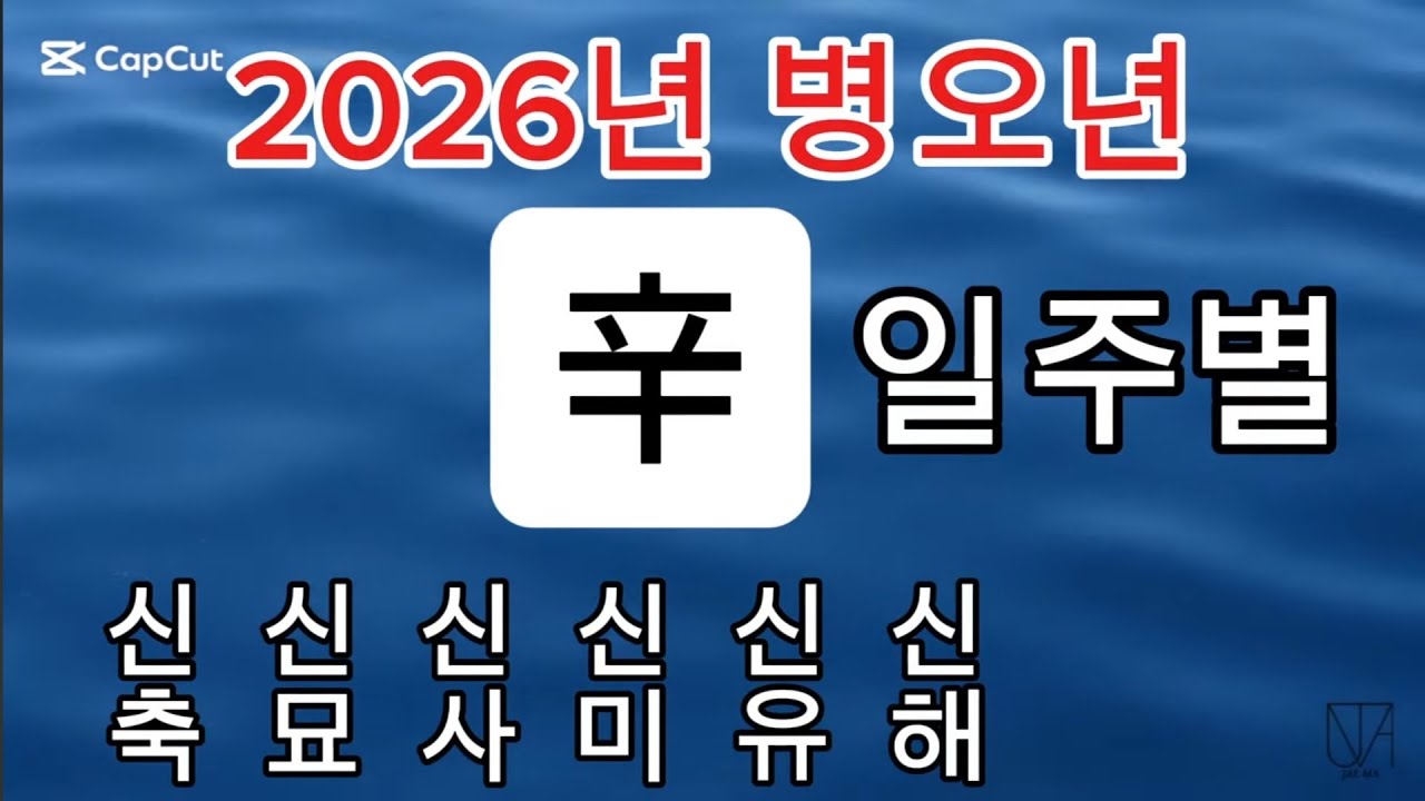 2026년 병오년 신금 일주별 세운