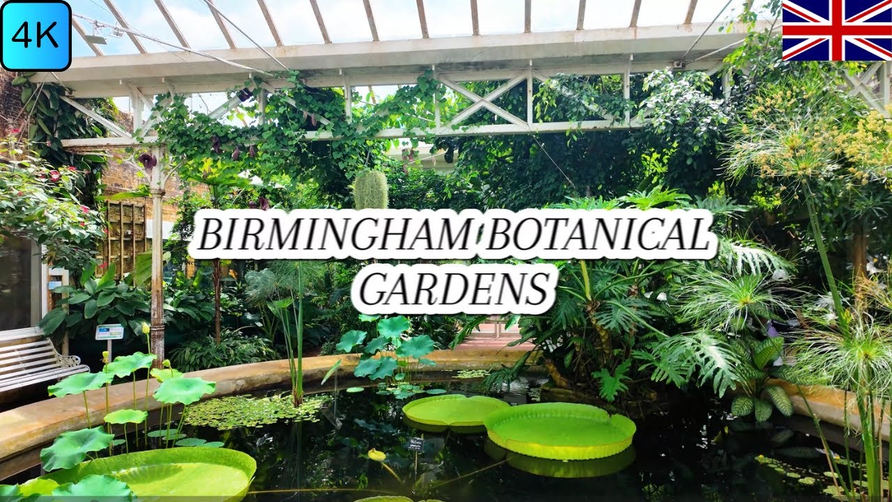 Nature Walk in Birmingham Botanical Gardens UK | A Tranquil Experience