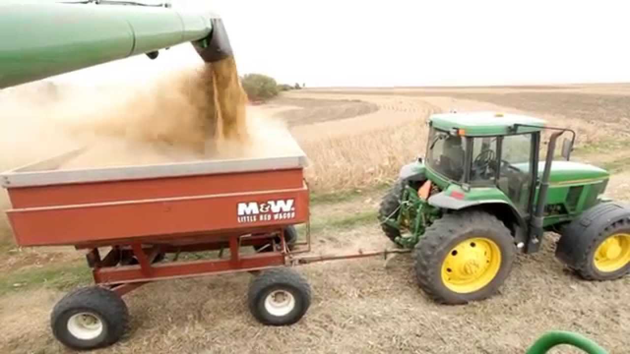 Soybean Harvesting