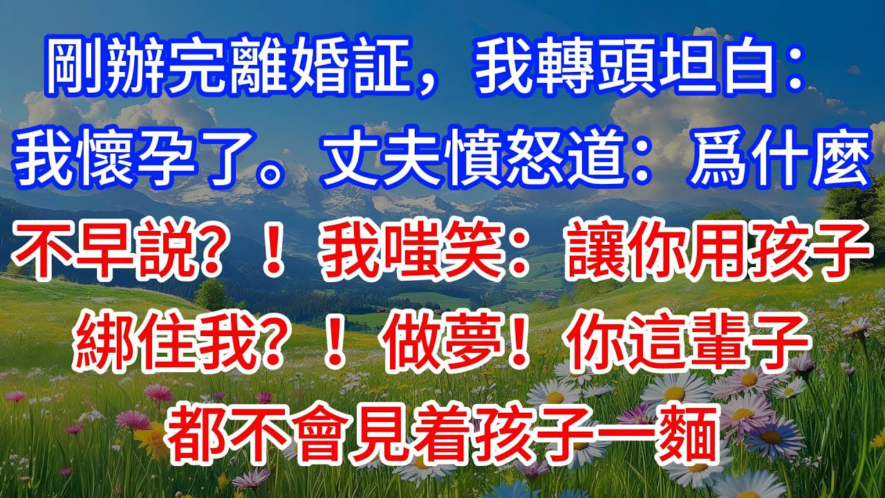 【完結】剛辦完離婚証，我轉頭坦白：我懷孕了。丈夫憤怒道：爲什麼不早説？！我嗤笑：讓你用孩子綁住我？！做夢！你這輩子都不會見着孩子一麵